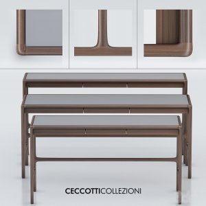 Arturo Ceccotti