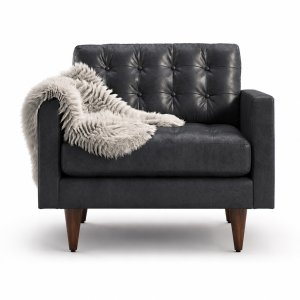 Joybird Eliot Leather Chair
