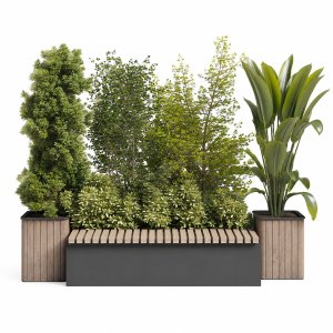 Urban Indoor plant set