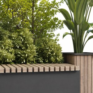Urban Indoor plant set