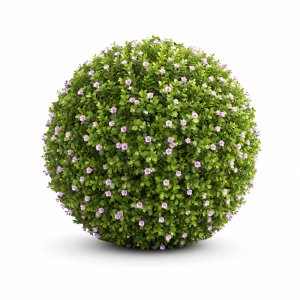 New Plant Bacopa Diffusa Sutera Decorative