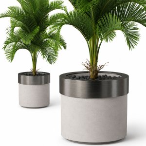 Plants collection 831
