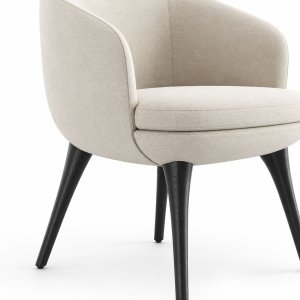Raphael Dining Chair by Minotti
